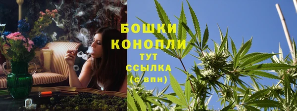 бошки Пересвет
